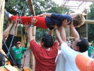 Dinámica telaraña